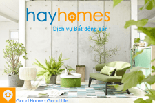 hayhomes vn